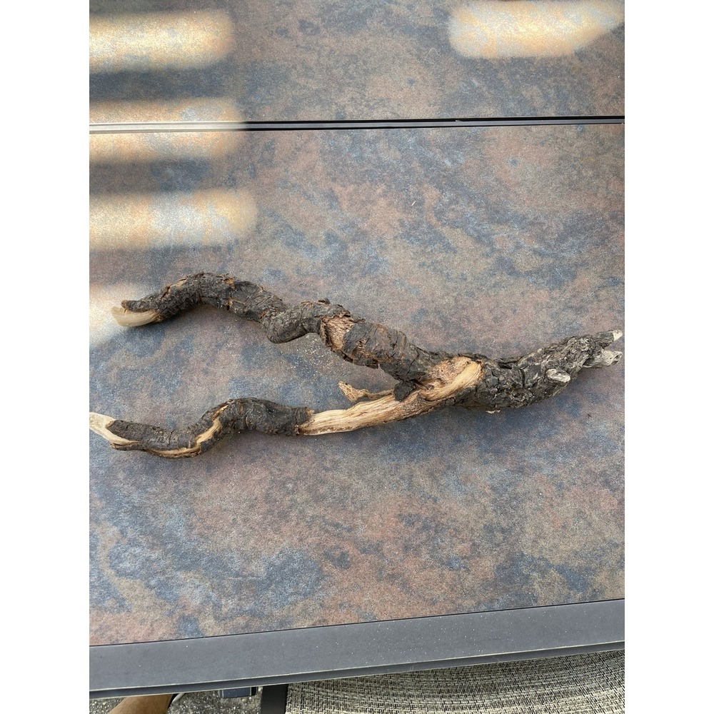 Natural Driftwood for Plants Terrarium Taxidermy Art Projects